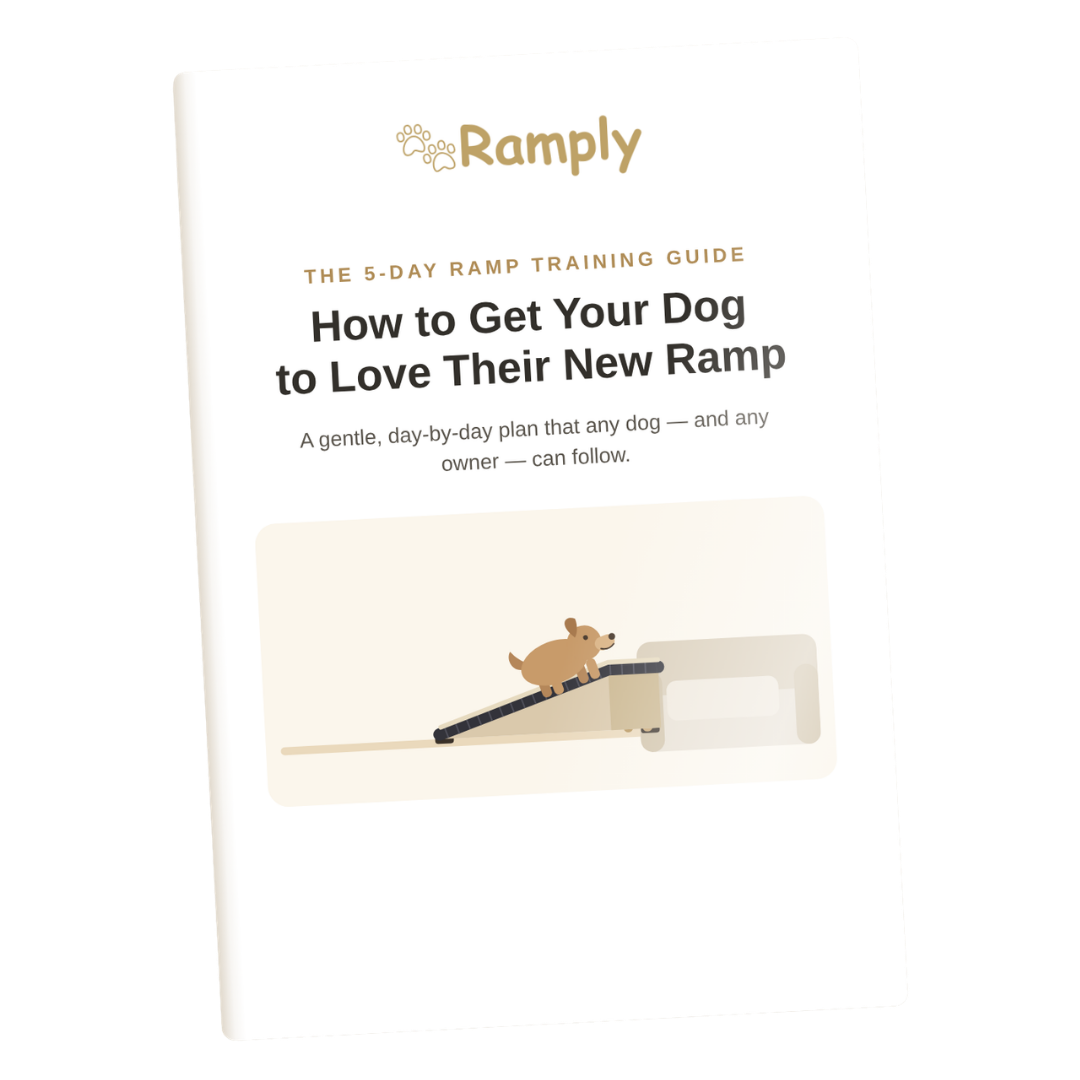 5-Day Ramp Training Guide