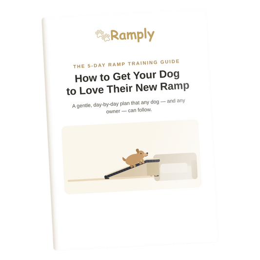 5-Day Ramp Training Guide